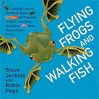 Flying Frogs