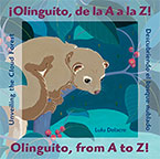 Olinguito