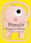 Pomelo Begins to Grow