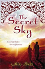 The Secret Sky