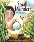 Small Wonders