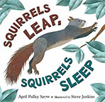 Squirrels Leap, Squirrels Sleep